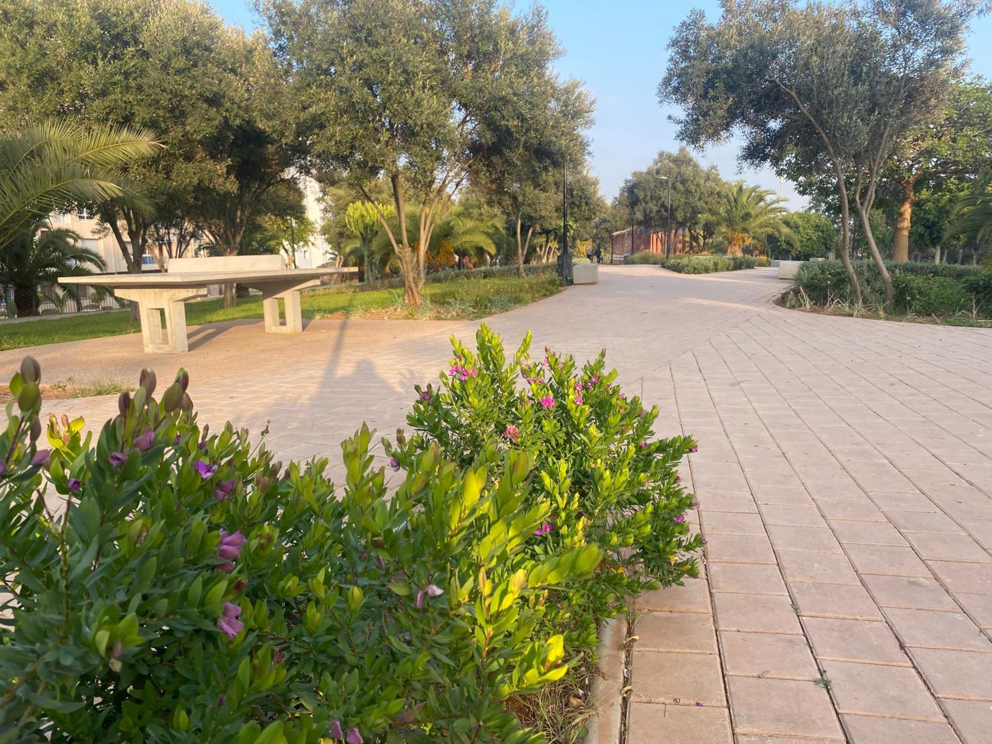 Cosy Greeny 3 Bdr - Downtown Near Oasis Train And Tramway الدار البيضاء المظهر الخارجي الصورة